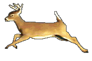Yahoo Group Crossbow Hunters