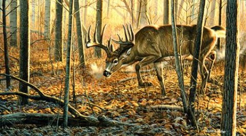 rut.jpg